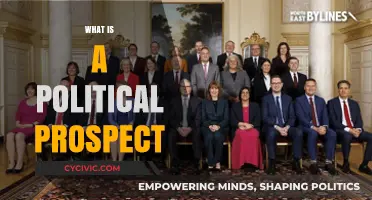 Understanding Political Prospects: Key Concepts and Real-World Applications