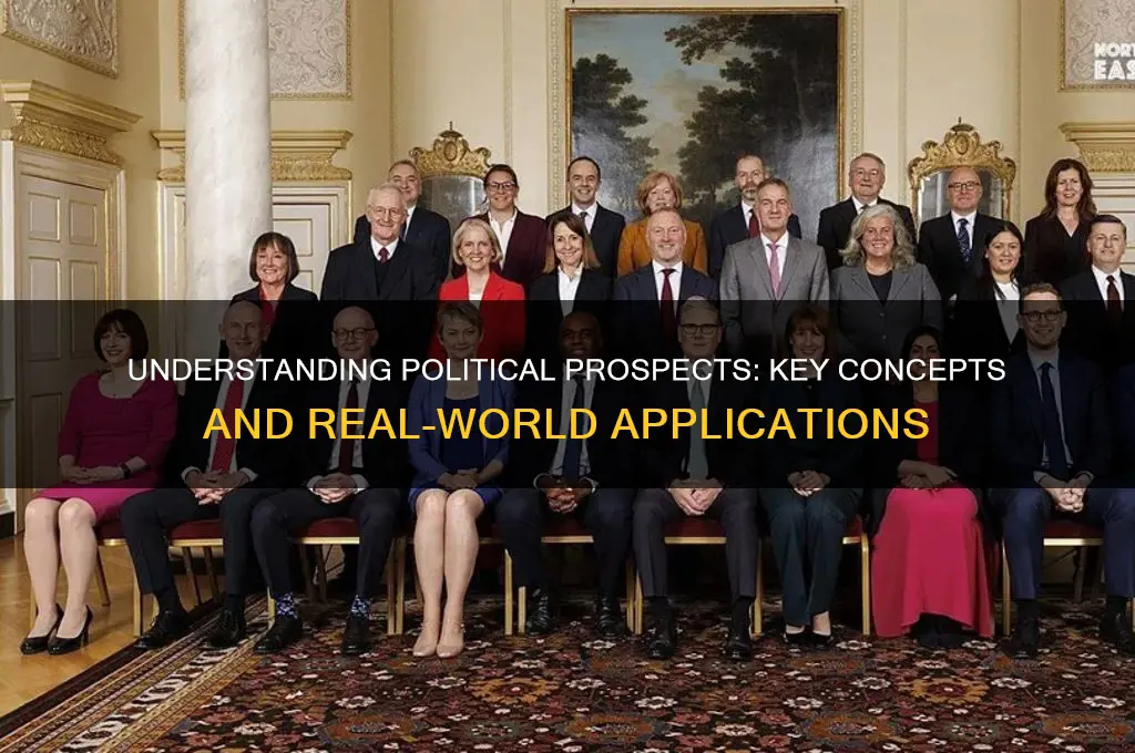 what is a political prospect