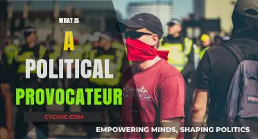 Understanding the Role and Impact of a Political Provocateur