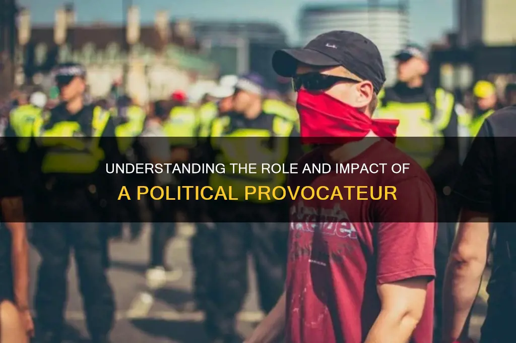what is a political provocateur