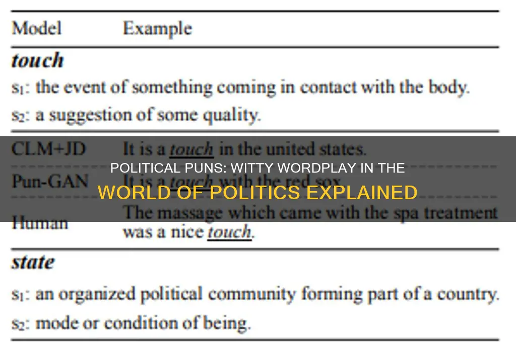 what is a political pun