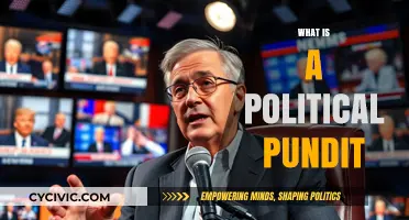 Understanding Political Pundits: Roles, Influence, and Media Impact Explained