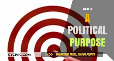 Understanding Political Purpose: Goals, Impact, and Societal Influence Explained