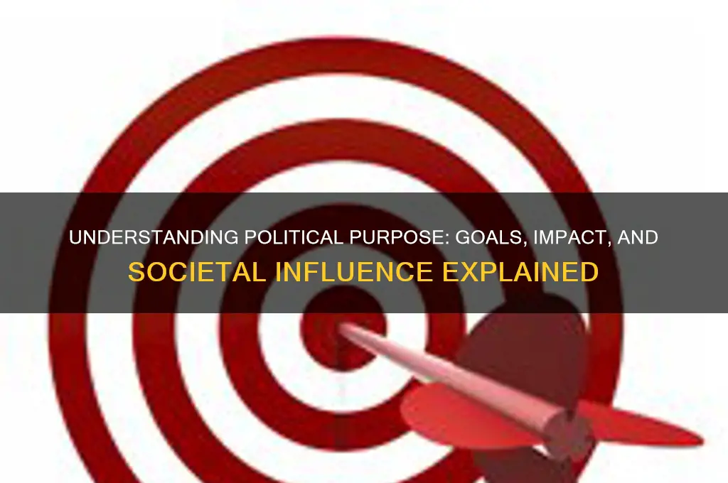 what is a political purpose