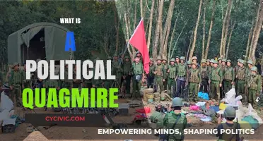 Understanding Political Quagmires: Causes, Consequences, and Complexities Explained