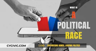 Understanding Political Races: Campaigns, Candidates, and Electoral Competition