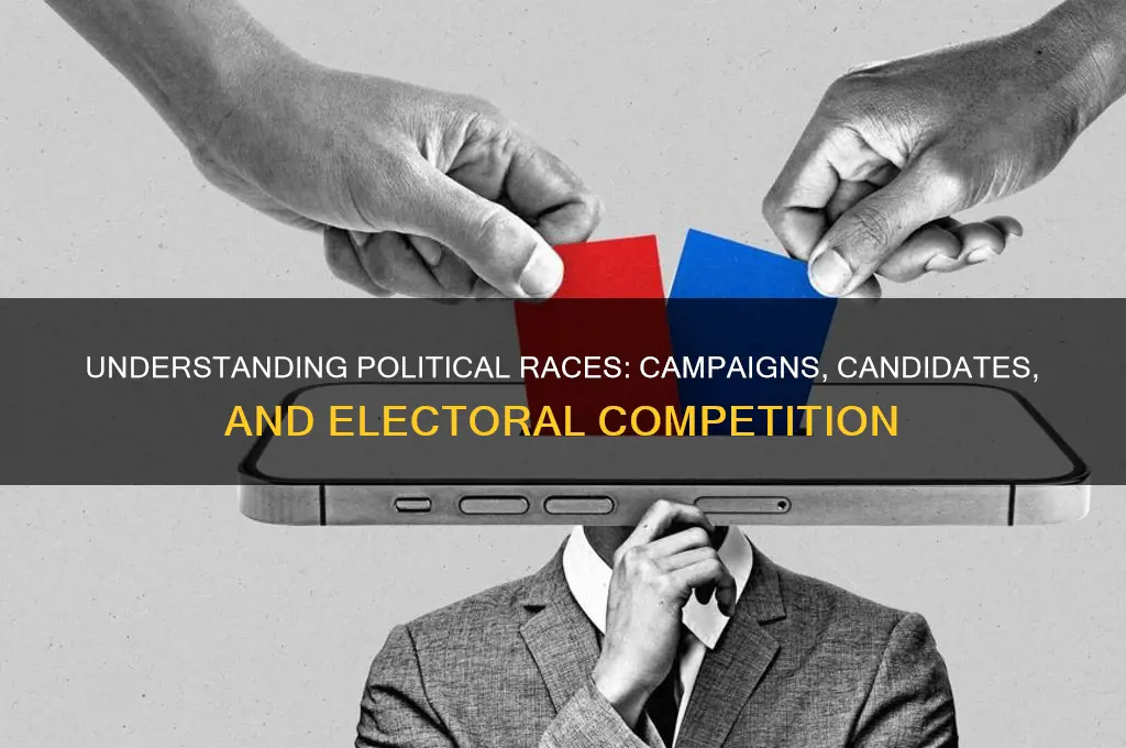 what is a political race