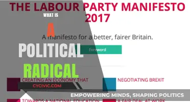 Understanding Political Radicals: Origins, Beliefs, and Societal Impact Explained