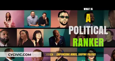 Understanding Political Rankers: Roles, Influence, and Impact in Politics
