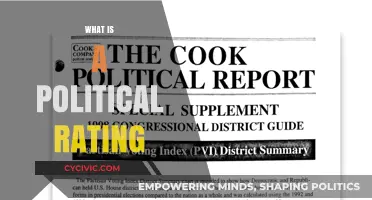 Understanding Political Ratings: A Comprehensive Guide to Their Meaning and Impact