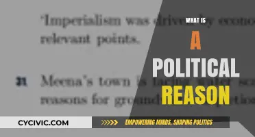 Understanding Political Reasons: Motives, Strategies, and Societal Impact Explained