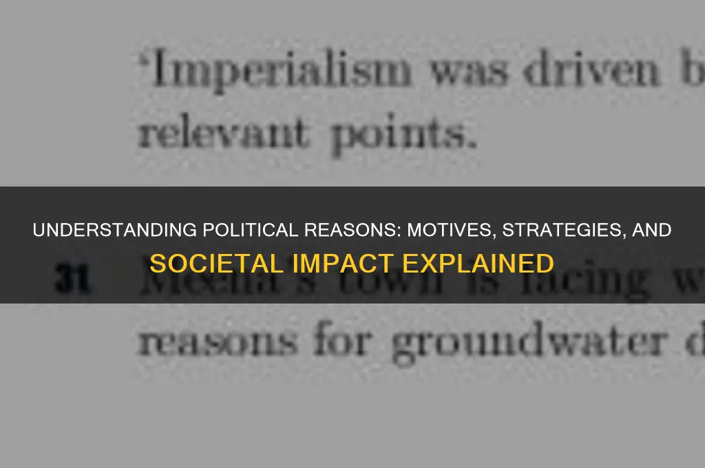 what is a political reason