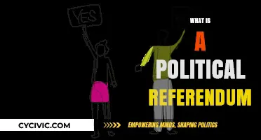 Understanding Political Referendums: Direct Democracy in Action Explained