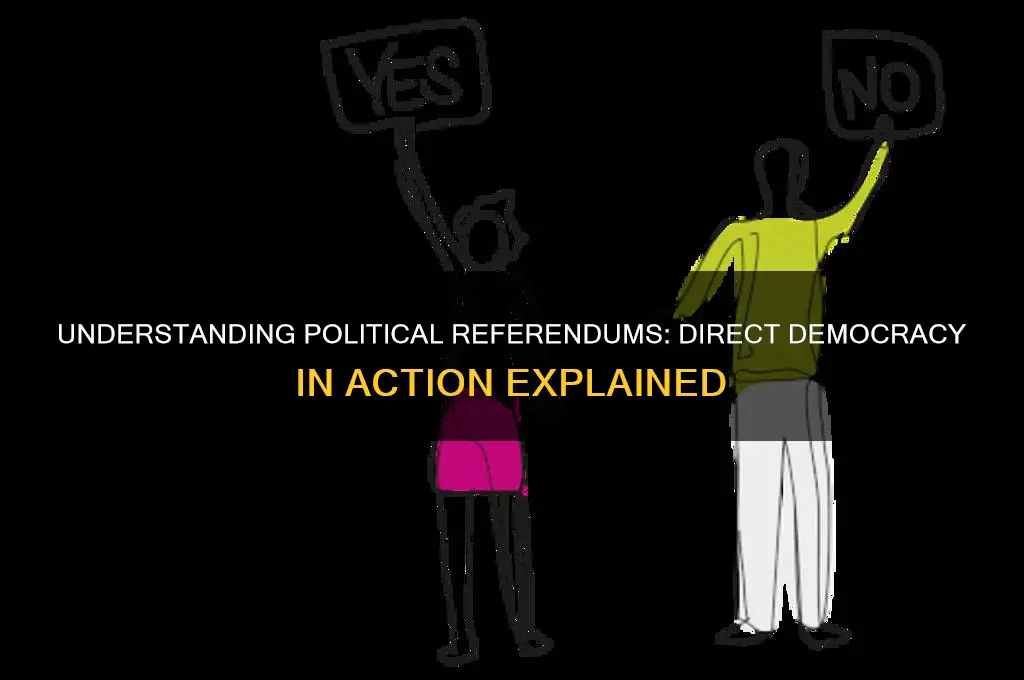what is a political referendum