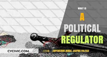 Understanding Political Regulators: Roles, Powers, and Impact on Governance