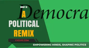 Political Remix: Redefining Democracy Through Creative Media Mashups