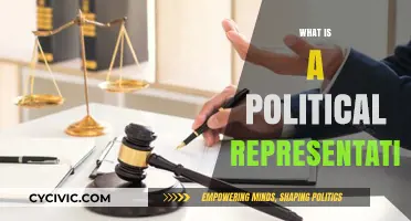 Understanding the Role and Responsibilities of a Political Representative