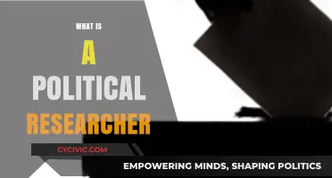 Understanding the Role and Impact of a Political Researcher