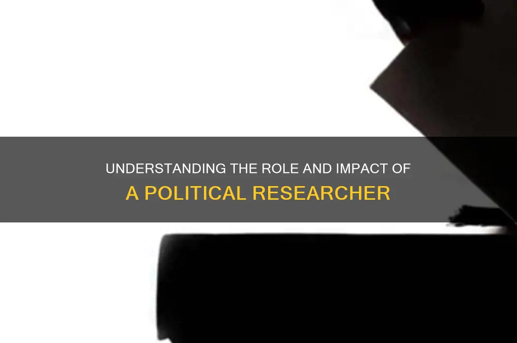 what is a political researcher