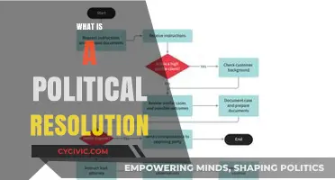 Understanding Political Resolutions: Purpose, Process, and Impact Explained