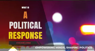 Understanding Political Responses: Strategies, Impact, and Public Engagement