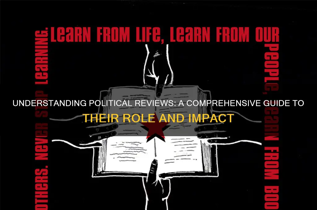 what is a political review