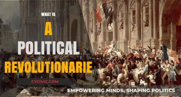 Understanding Political Revolutionaries: Their Ideologies, Impact, and Historical Role
