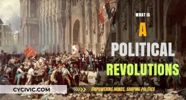 Understanding Political Revolutions: Causes, Impact, and Historical Transformations