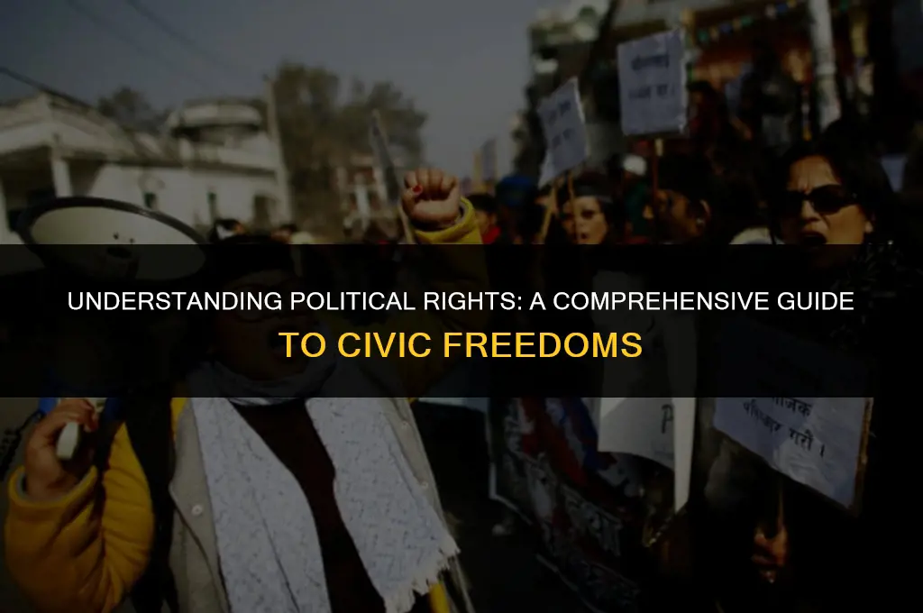 what is a political right