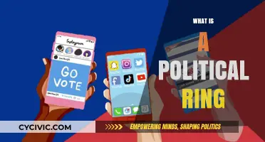 Understanding Political Rings: Power Networks and Their Influence Explained