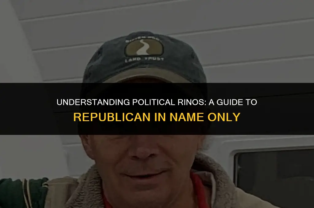 what is a political rino mean
