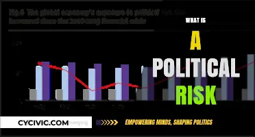 Understanding Political Risk: Impact, Mitigation, and Global Implications