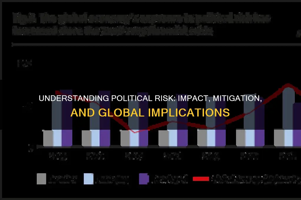 what is a political risk