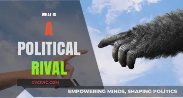 Understanding Political Rivals: Their Role, Impact, and Influence in Politics