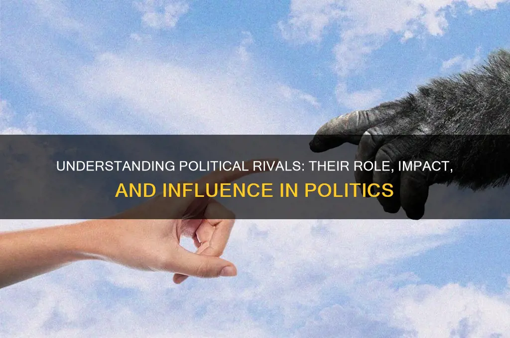 what is a political rival