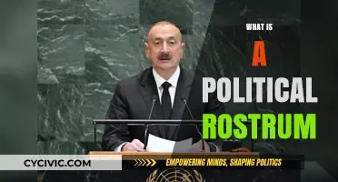 Understanding the Political Rostrum: Purpose, History, and Modern Usage