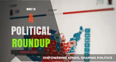 Understanding Political Roundups: A Comprehensive Guide to News Summaries