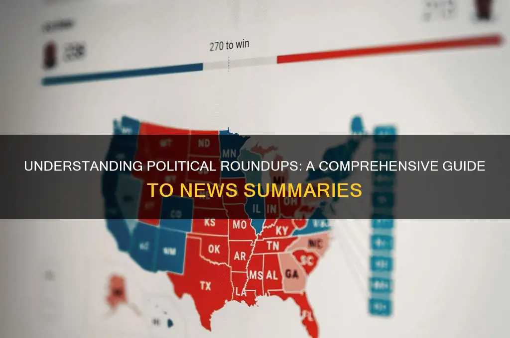 what is a political roundup