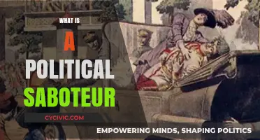 Understanding Political Saboteurs: Tactics, Motives, and Real-World Impacts