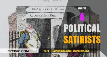 Unmasking Political Satirists: Humor's Sharp Edge in Power Critique