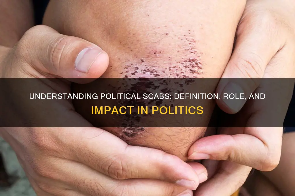 what is a political scab