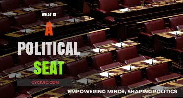 Understanding Political Seats: Power, Representation, and Governance Explained