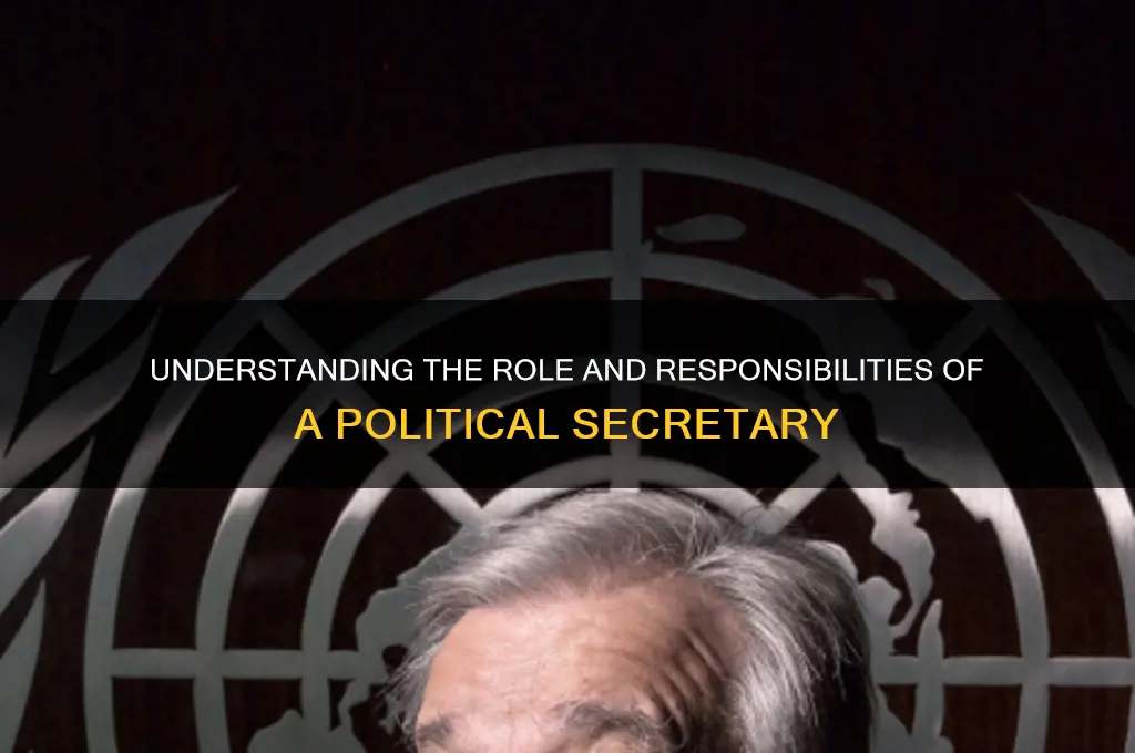 what is a political secretary
