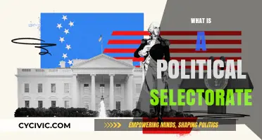 Understanding the Political Selectorate: Power, Influence, and Governance Dynamics