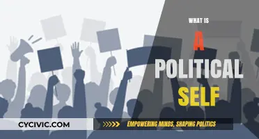 Understanding the Political Self: Identity, Beliefs, and Civic Engagement