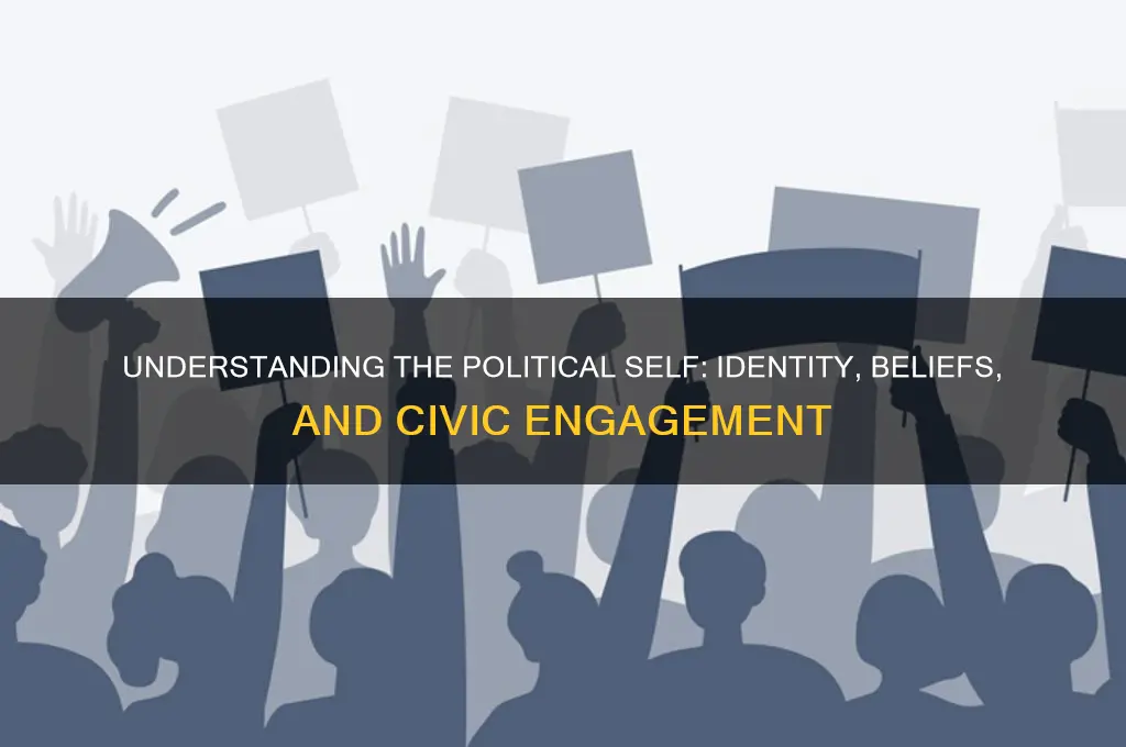 what is a political self