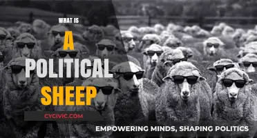 Understanding Political Sheep: Blind Followers or Strategic Conformists?