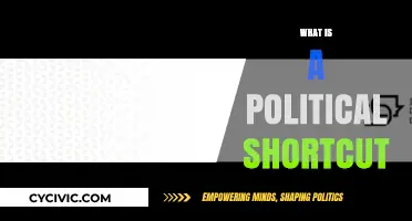 Understanding Political Shortcuts: Strategies, Impacts, and Ethical Considerations