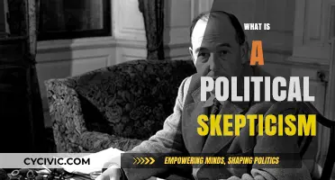 Understanding Political Skepticism: A Critical Approach to Power and Governance