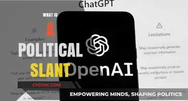 Understanding Political Slant: Bias, Influence, and Media Perspectives Explained